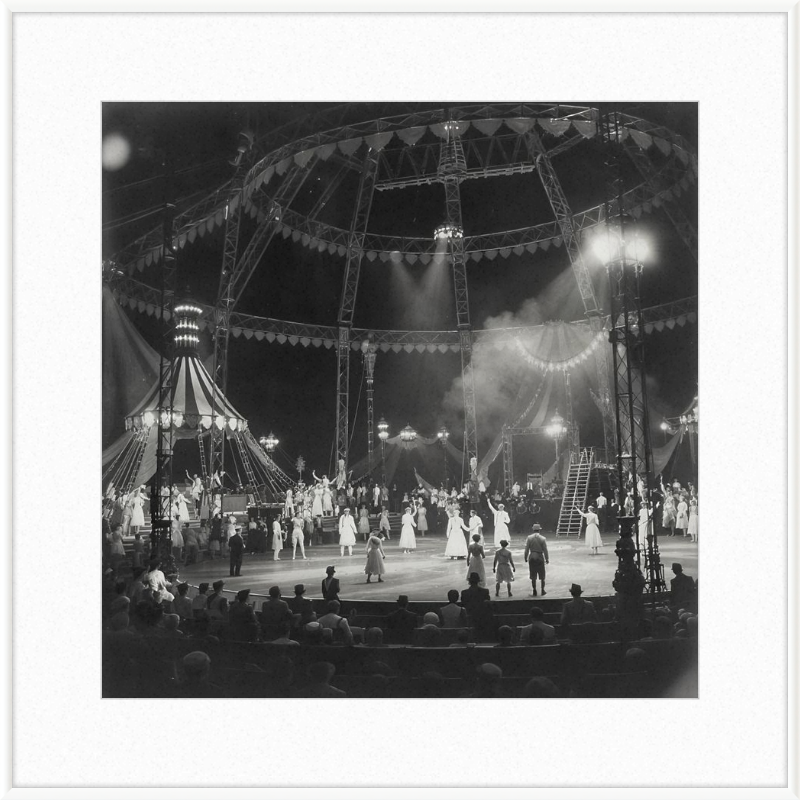 Vintage Circus Act Framed Art