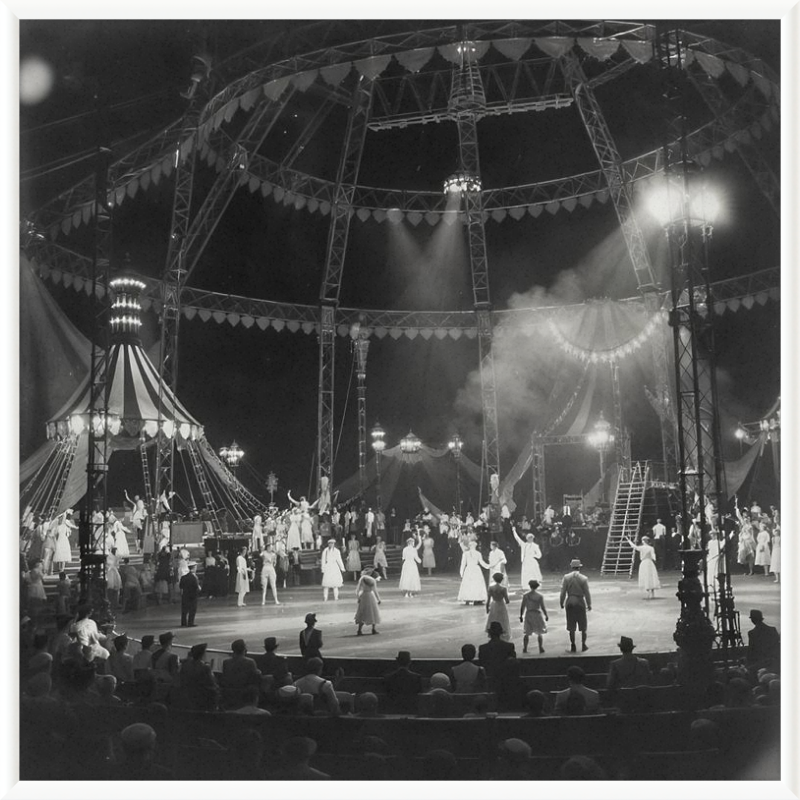 Vintage Circus Act Framed Art