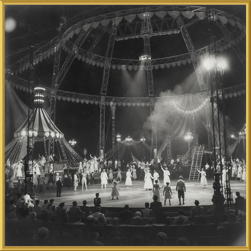 Vintage Circus Act Framed Art
