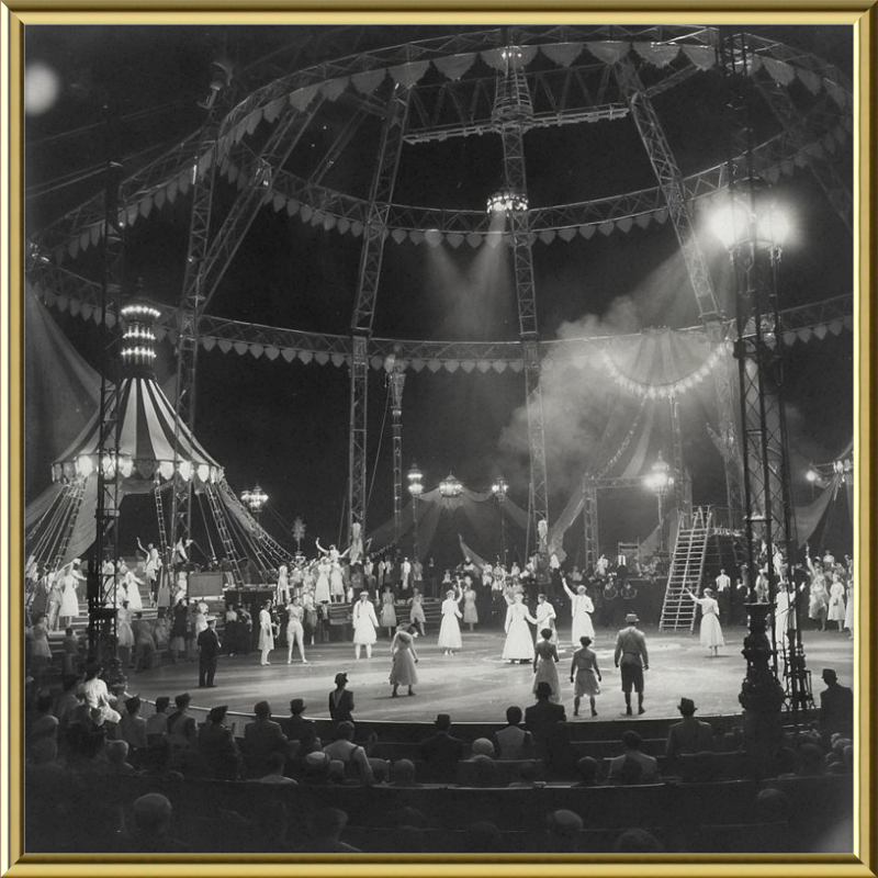 Vintage Circus Act Framed Art