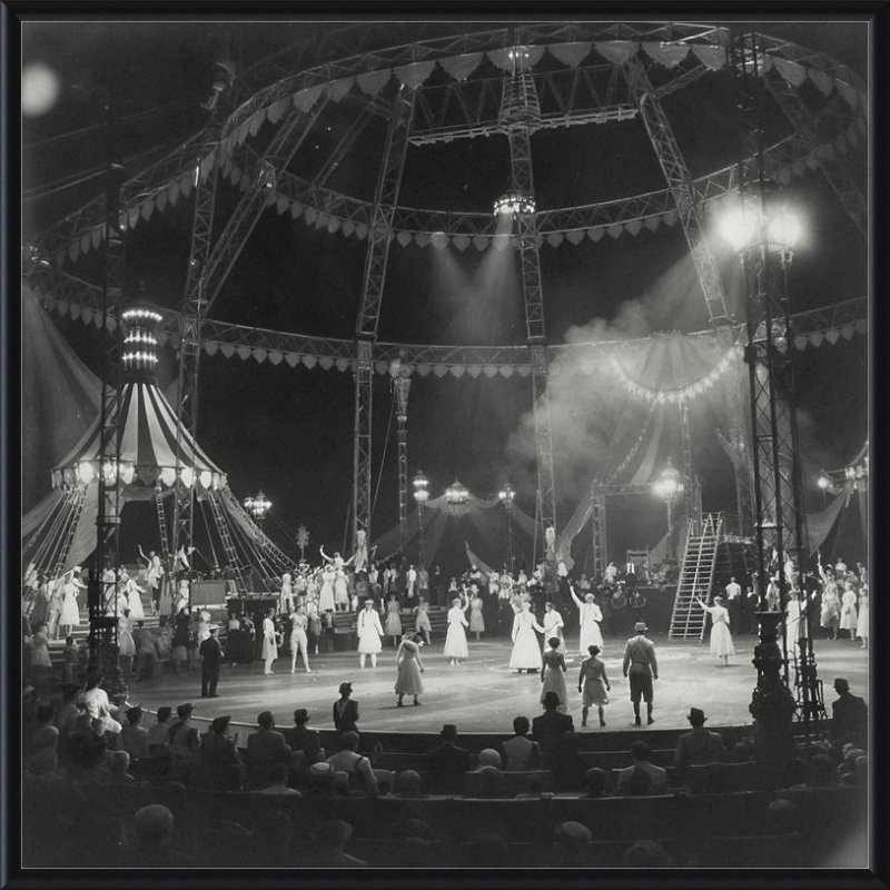 Vintage Circus Act Framed Art