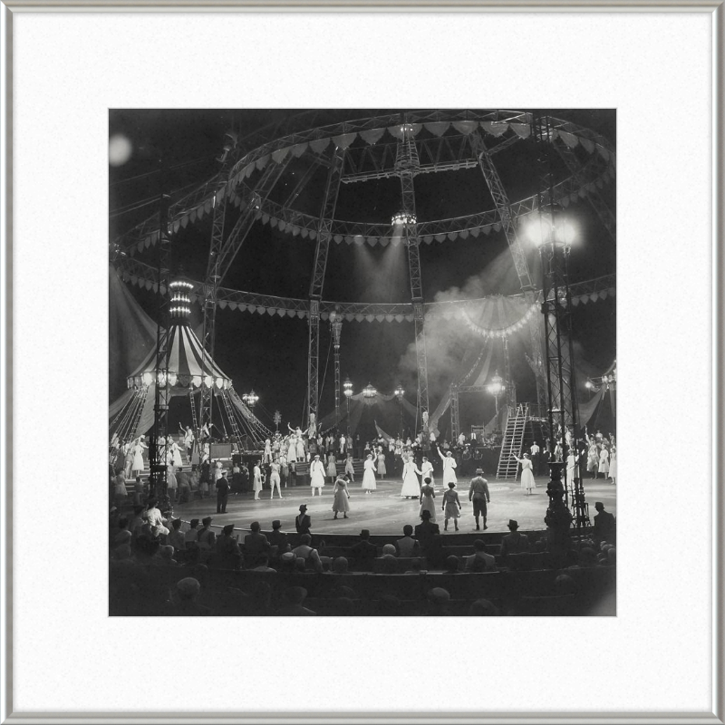 Vintage Circus Act Framed Art