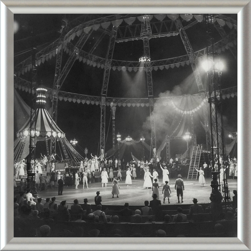 Vintage Circus Act Framed Art