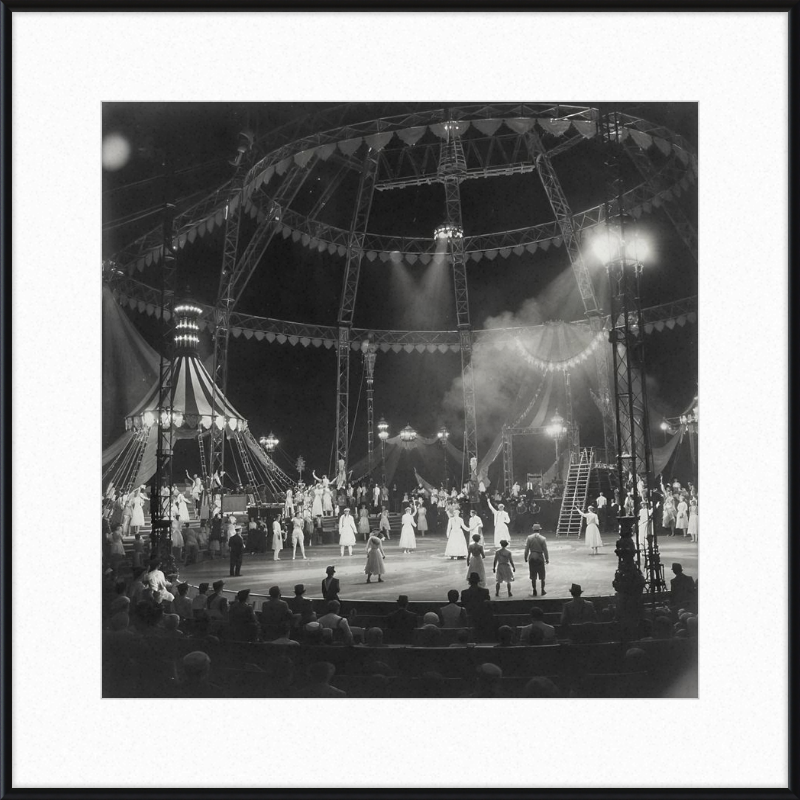 Vintage Circus Act Framed Art