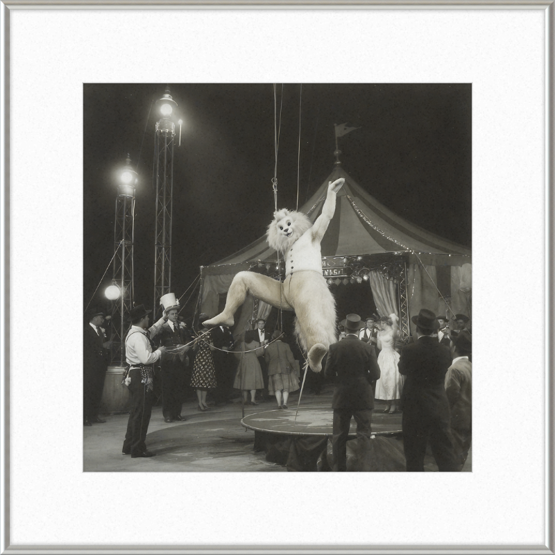 1900's Circus Oddity Framed Wall Art