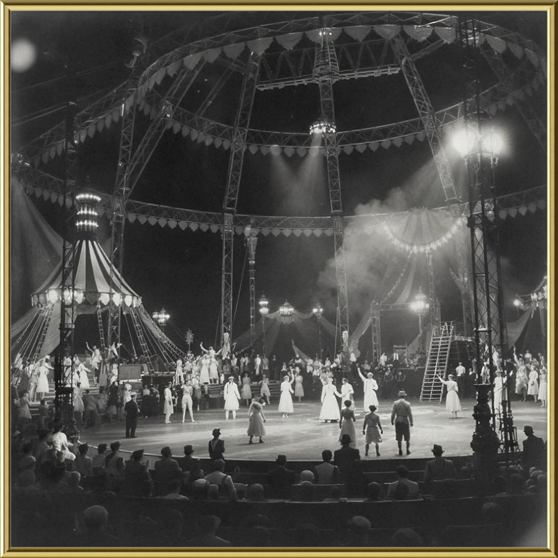 Vintage Circus Act Framed Art