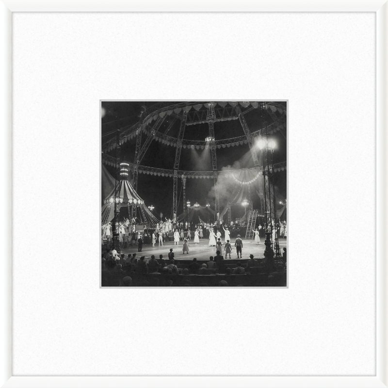 Vintage Circus Act Framed Art