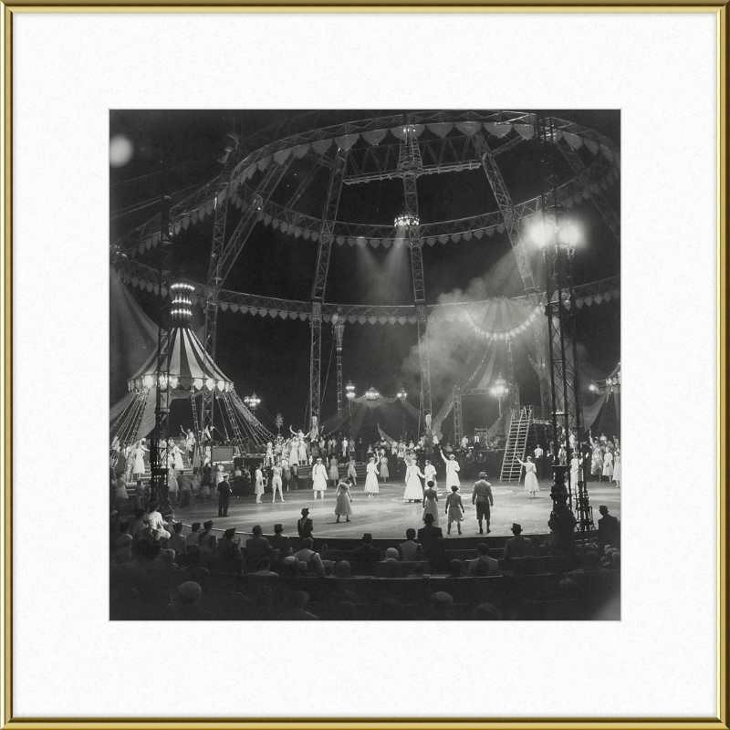 Vintage Circus Act Framed Art