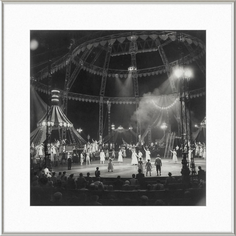 Vintage Circus Act Framed Art