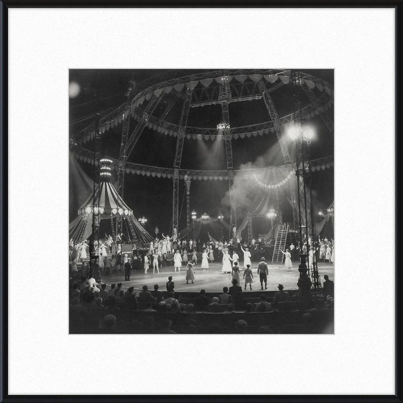 Vintage Circus Act Framed Art