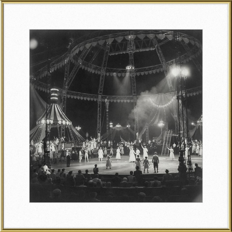 Vintage Circus Act Framed Art