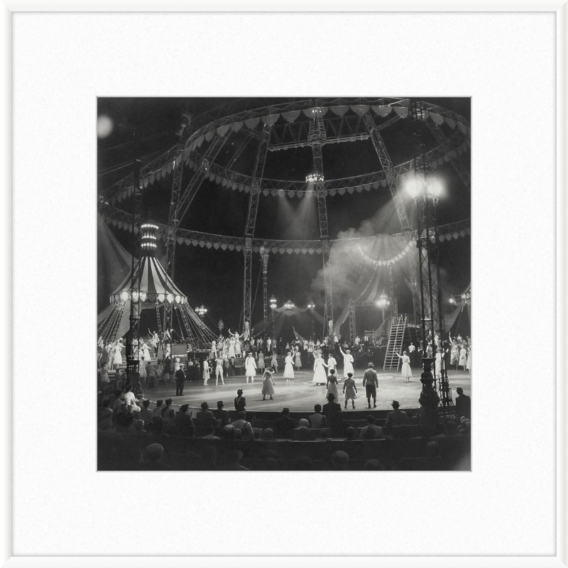 Vintage Circus Act Framed Art