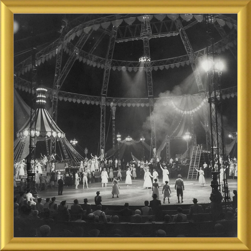 Vintage Circus Act Framed Art