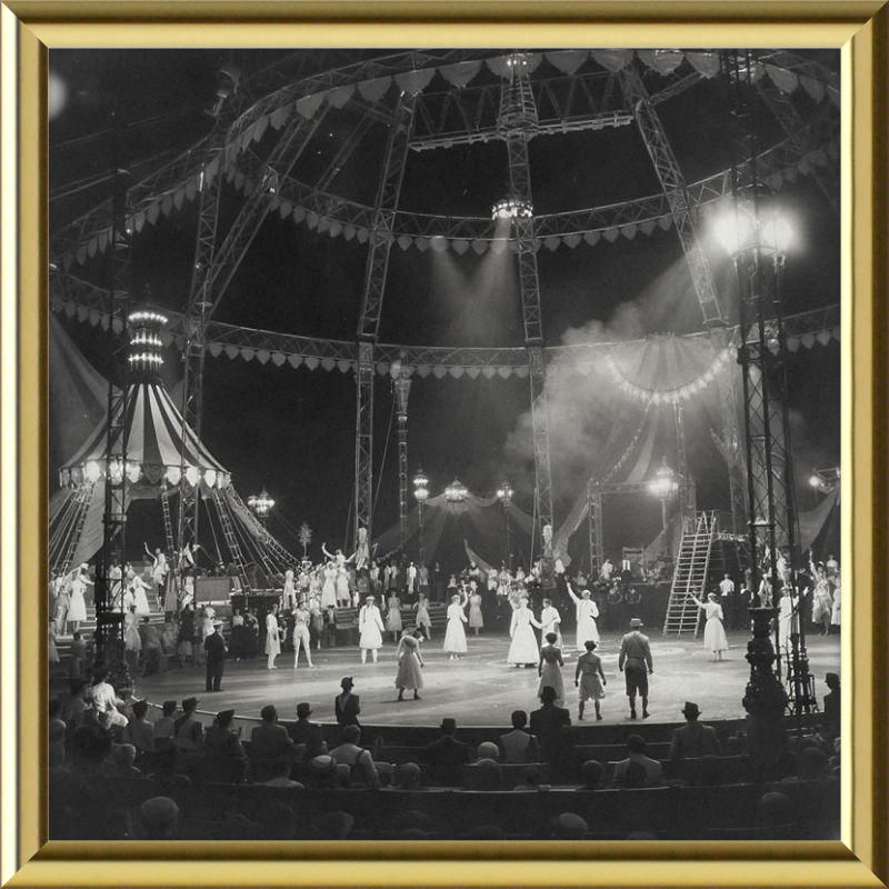 Vintage Circus Act Framed Art
