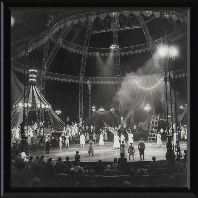 Vintage Circus Act Framed Art