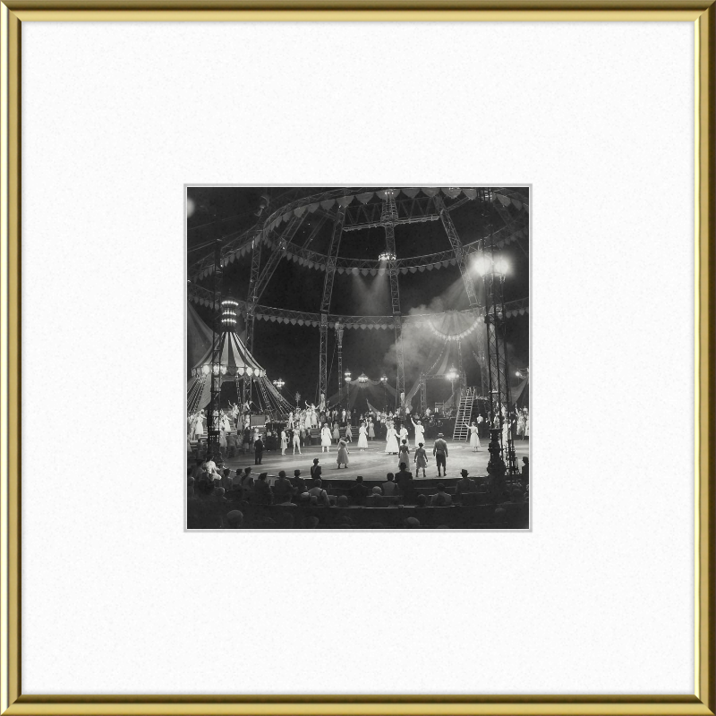 Vintage Circus Act Framed Art