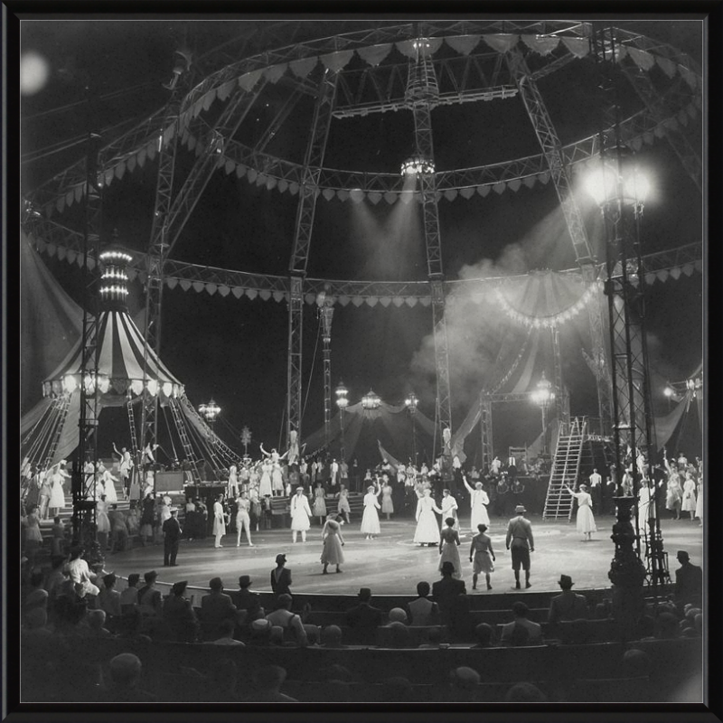 Vintage Circus Act Framed Art