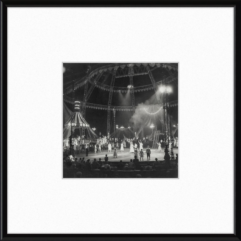Vintage Circus Act Framed Art