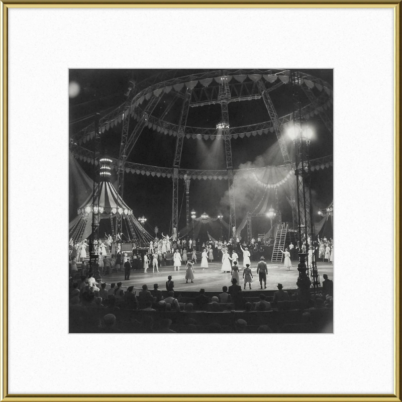 Vintage Circus Act Framed Art