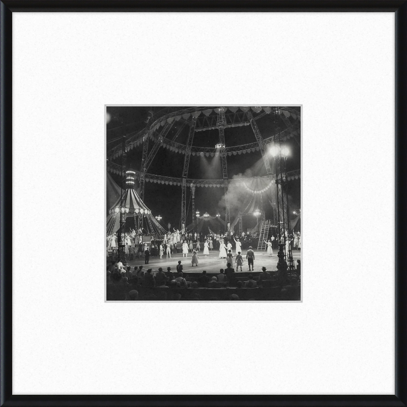 Vintage Circus Act Framed Art