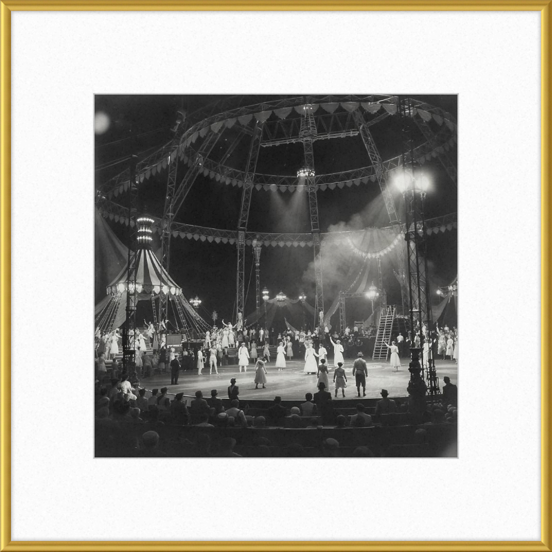 Vintage Circus Act Framed Art