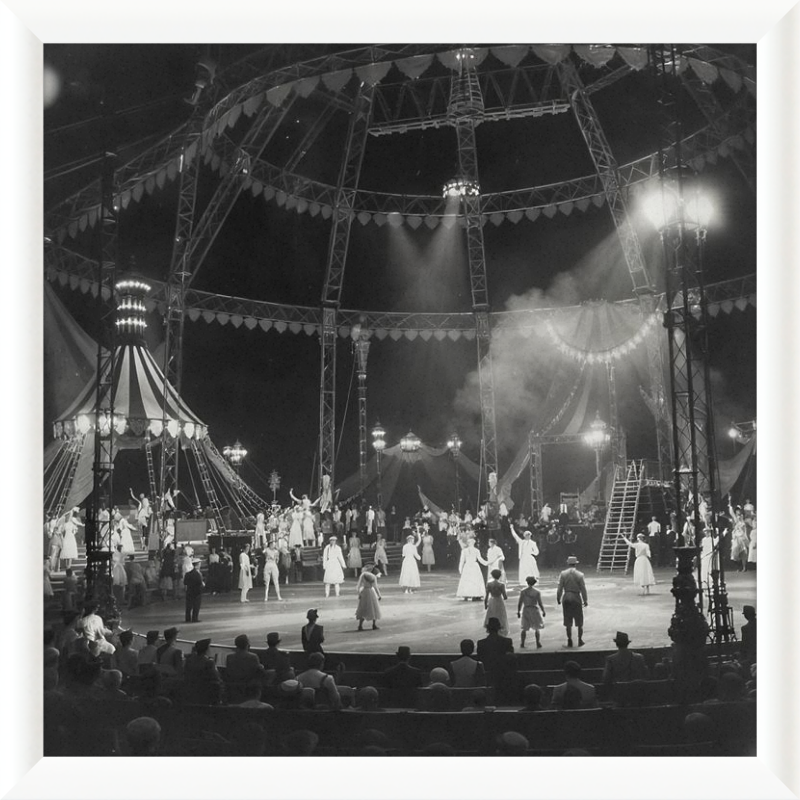 Vintage Circus Act Framed Art
