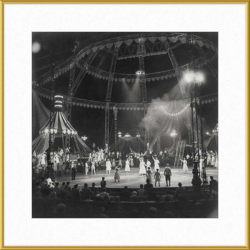 Vintage Circus Act Framed Art
