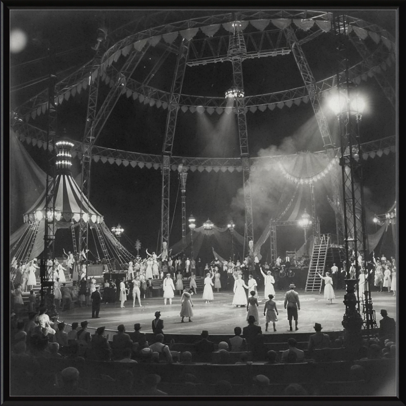Vintage Circus Act Framed Art