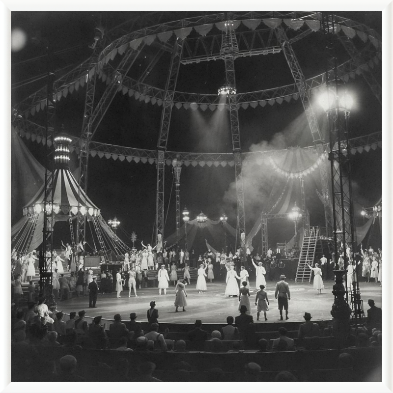 Vintage Circus Act Framed Art