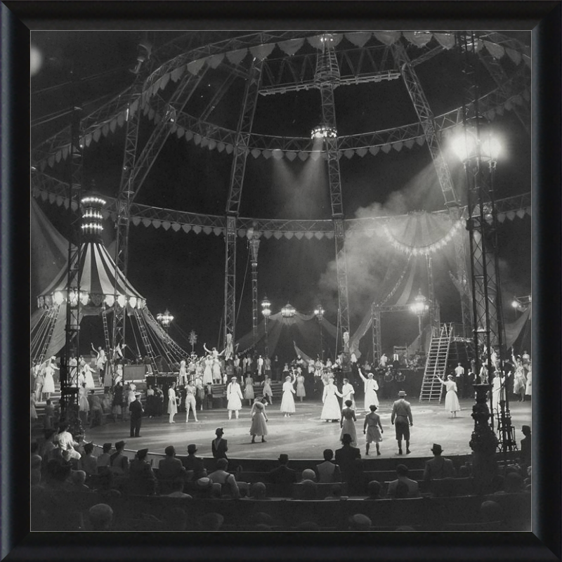 Vintage Circus Act Framed Art