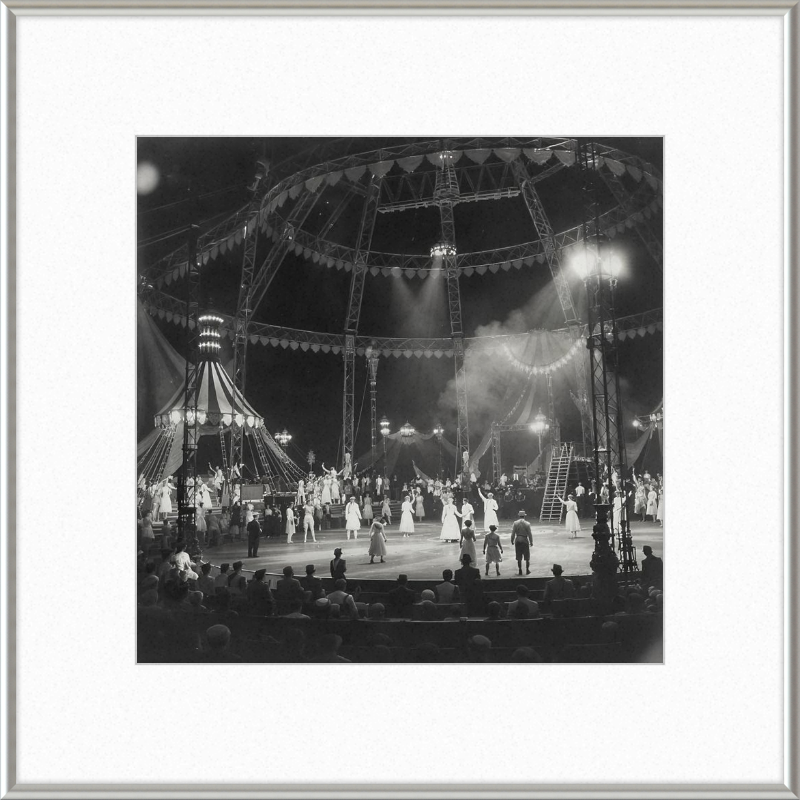 Vintage Circus Act Framed Art
