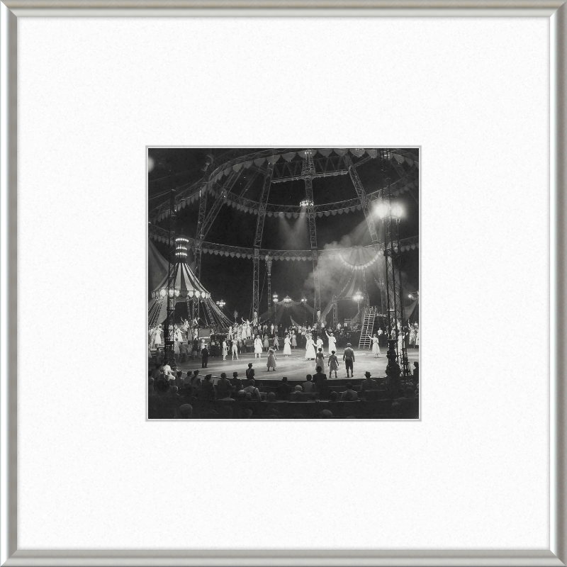 Vintage Circus Act Framed Art
