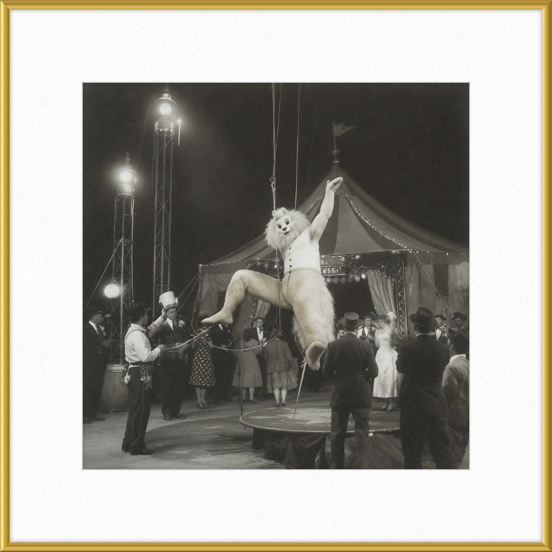 1900's Circus Oddity Framed Wall Art