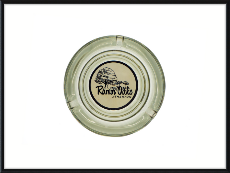 Ramor Oaks Ashtray Wall Art