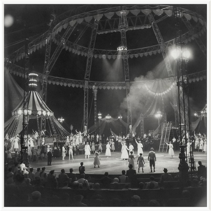 Vintage Circus Act Framed Art