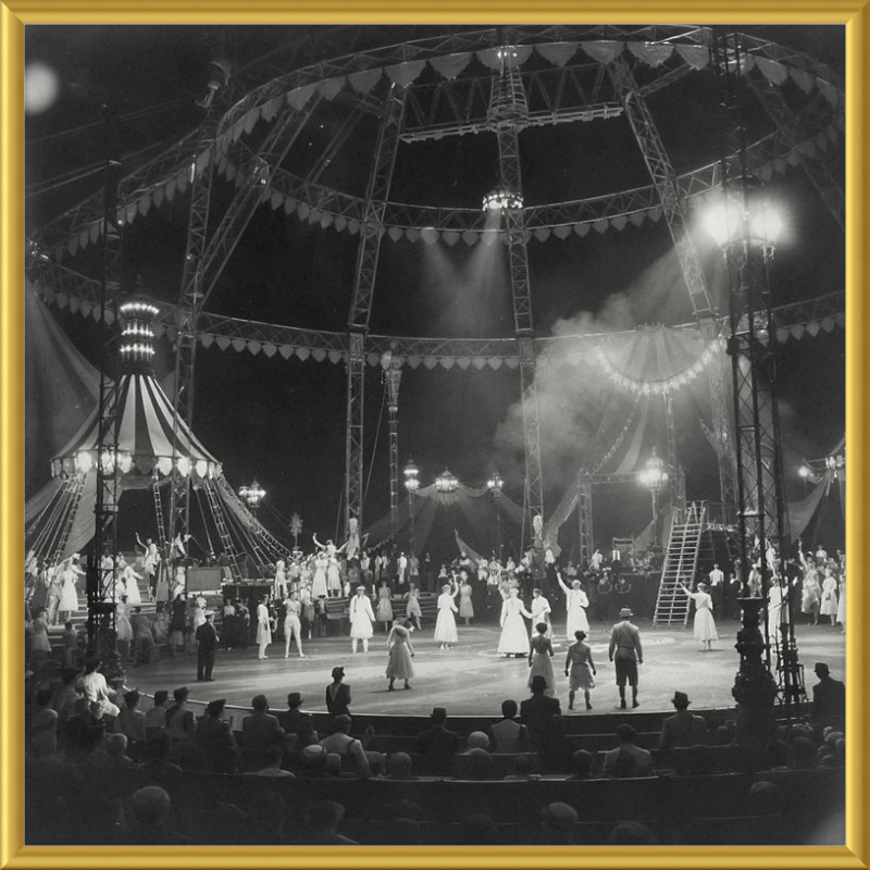 Vintage Circus Act Framed Art