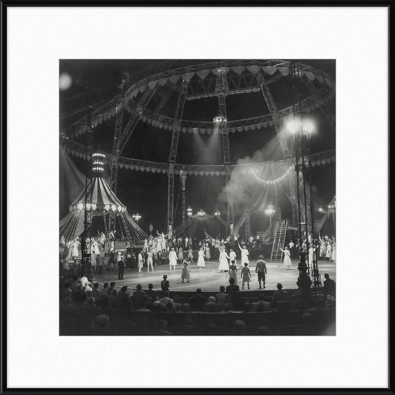 Vintage Circus Act Framed Art