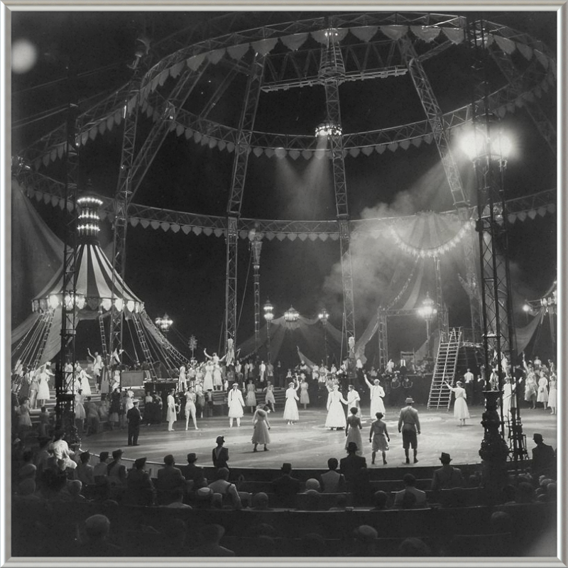 Vintage Circus Act Framed Art