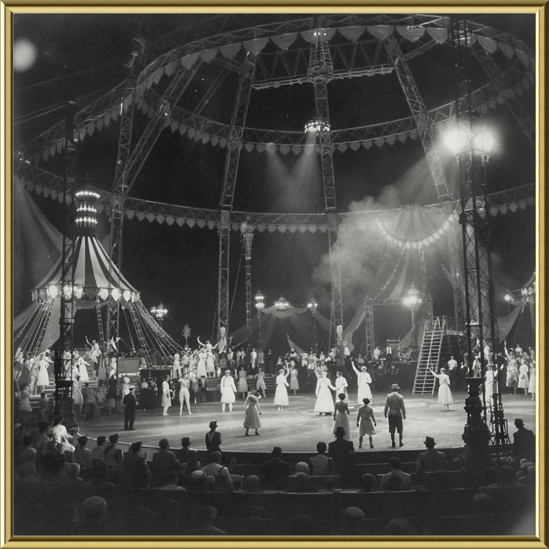 Vintage Circus Act Framed Art