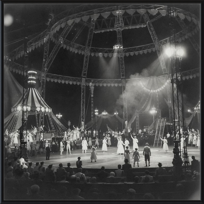 Vintage Circus Act Framed Art