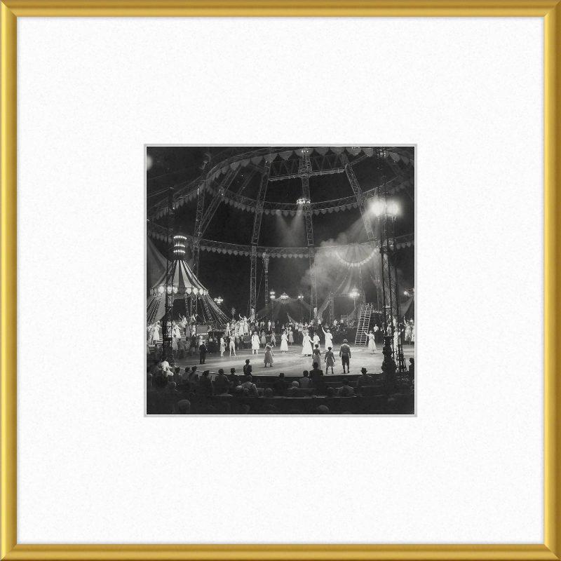 Vintage Circus Act Framed Art