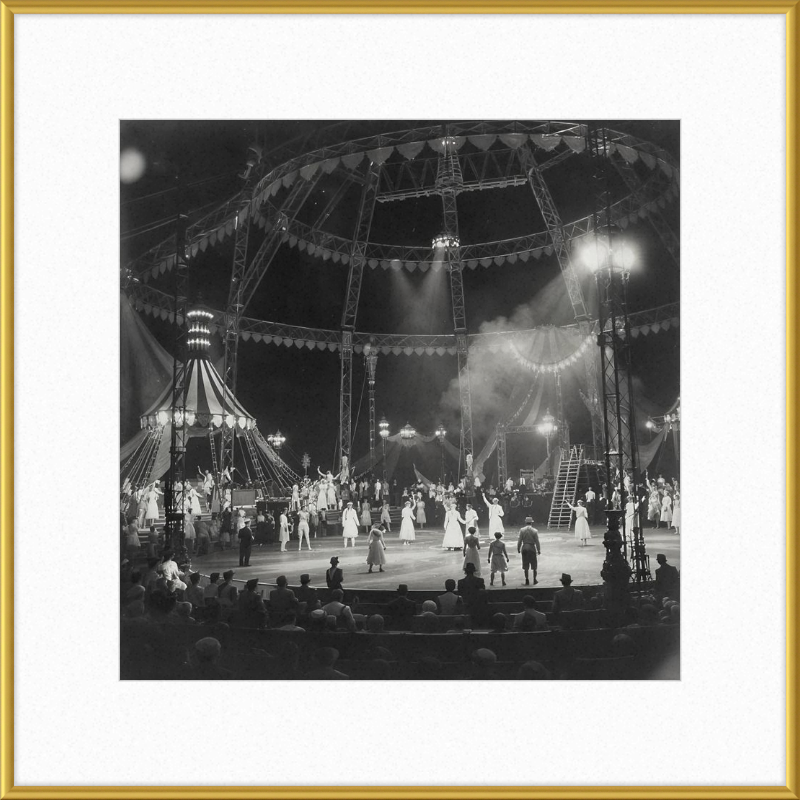 Vintage Circus Act Framed Art