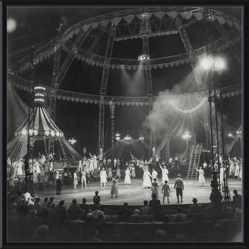 Vintage Circus Act Framed Art